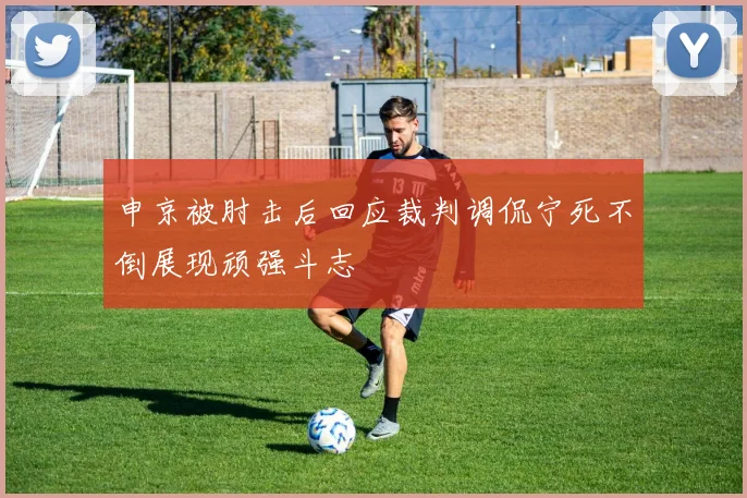 申京被肘击后回应裁判调侃宁死不倒展现顽强斗志