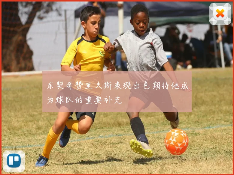 东契奇赞里夫斯表现出色期待他成为球队的重要补充